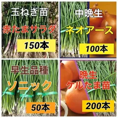 2025年最新】玉ねぎ ネオアースの人気アイテム - メルカリ