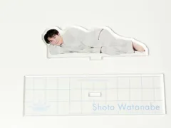 Snow Man　渡辺翔太　アクリルスタンド　Dome Tour 2024 RAYS