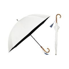 Item thumbnail for item 8a4526cc-5c9d-42d7-bcfa-c056f439f2df