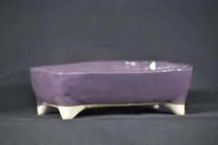 2025年最新】鉢 祥石の人気アイテム - メルカリ