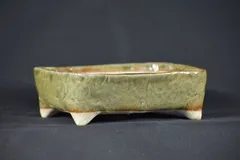 2026年最新】鉢 祥石の人気アイテム - メルカリ