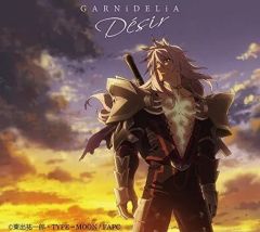 [중고] 애니메이션계 CD GARNiDELiA / Desir [DVD 첨부 기간 한정 통상반] ~TV 애니메이션 [Fate/Apocrypha] ED 테마