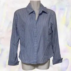 NATURAL BEAUTY BASIC　ナチュラルビューティーベーシック　シャツ　ブルー　レディース　ストライプ　折り返し袖　クロップド丈