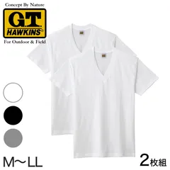 グンゼ 綿100% メンズ インナー 半袖 Vネック Tシャツ 2枚組 M～LL GUNZE GTホーキンス 下着 インナーシャツ tシャツ 男性 紳士 V首 肌着 インナー M L LL