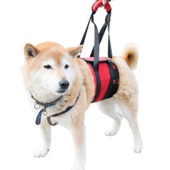 Item thumbnail for item 6aa45f23-c0a3-4fe8-abc6-e09de05c76c8