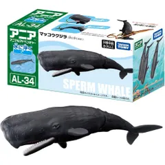 2026年最新】マッコウクジラの人気アイテム - メルカリ