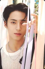 SEVENTEEN MINGYU SEVENTEENTH HEAVEN トレーディングカード PM2:14