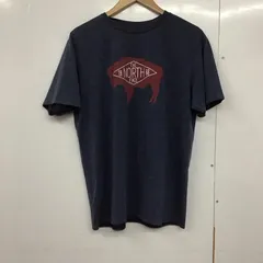 THE NORTH FACE ザノースフェイス Tシャツ 半袖 半袖カットソー プリントTシャツ クルーネックカットソー