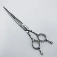 2025年最新】シルバーライン シザーの人気アイテム - メルカリ