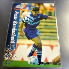 Panini 1995 Bndesliga Fussball Peter Sendscheid Scallke 04