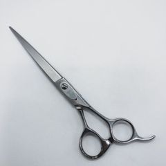 Item thumbnail for item bfcda560-e6b3-45d1-8f39-74b520d20342