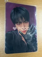 ☆激レア☆極美品☆ 小泉みゆき サイン入りチェキ4枚セット 2025年最新】チェキ 中古の人気アイテム - メルカリ