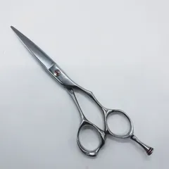 正規 MIZUTANI SCISSORS ミズタニシザーズ 美容理容師 楽天市場】Bランク【MIZUTANI SCISSORS ミズタニシザーズ】 SPRING