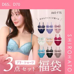 10％OFF【SHIROHATO公式】【正規品・新品】ブラジャー ショーツ 3点セット 福袋 選べる5タイプ おまかせ 刺繍 レース おしゃれ シンプル ABCDEF 大きいサイズ(D65、D70)