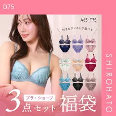 10％OFF【SHIROHATO公式】【正規品・新品】ブラジャー ショーツ 3点セット 福袋 選べる5タイプ おまかせ 刺繍 レース おしゃれ シンプル ABCDEF 大きいサイズ(D75)