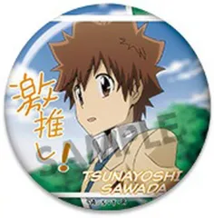 【中古】バッジ・ビンズ 沢田綱吉 「家庭教師ヒットマンREBORN! 激推し缶バッジコレクション vol.4」