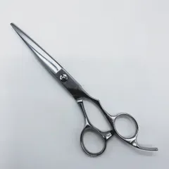 2025年最新】サイキシザーズの人気アイテム - メルカリ