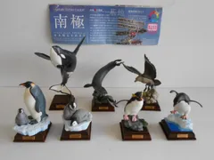 2025年最新】ネイチャーテクニカラー 南極の人気アイテム - メルカリ