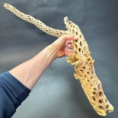 ベリーダンス用シミター （ソード） ゴールド アンティーク BAHEE
