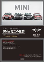 MINI ミニクーパー BMW MINI レジャーシート ノベルティ まとめて