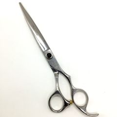 Item thumbnail for item 23351e22-e778-48d7-bd98-15fb3d93d84a