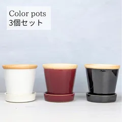 3個セット 植木鉢 陶器鉢 白 赤 黒 直径約10cm 高さ約10cm サボテン 多肉植物にも
