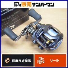 ダイワ スティーズ A II TW 1000XH DAIWA STEEZ ベイトリール バス