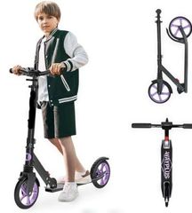 Item thumbnail for item e8280edb-52d0-4bfd-9ac8-2c2042563860