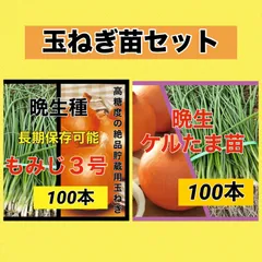2025年最新】玉ねぎ苗 もみじの人気アイテム - メルカリ
