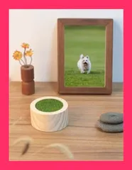 【スタッフおすすめ！】ミニ骨壷 ペット骨壺【芝生*足跡】手元供養 木製 遺骨入れ メモリアル骨壷 人間 猫 犬 兎 肉球 歯 毛 お骨 遺骨 納骨容器 密封型 ペット仏壇用骨壷 小さな骨壺 分骨つぼ 形見入れ 小さな骨壺 (淡色)