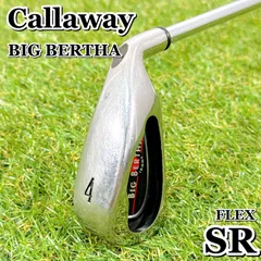 2025年最新】ビッグバーサ アイアン レディースの人気アイテム - メルカリ