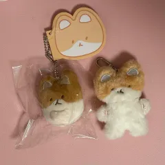 2026年最新】ベッキョン トレギ トレカの人気アイテム - メルカリ