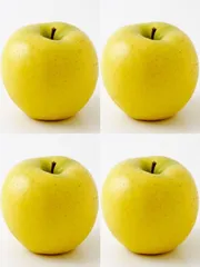 みーみーちゃん様専用☆　信州産　りんご　🟡ぐんま名月🟡　約4.5Kg