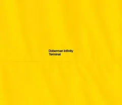 【中古】邦楽CD DOBERMAN INFINITY / TERMINAL[DVD付初回限定盤]