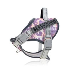 Item thumbnail for item 6d5604c6-cb3d-4f14-b8a6-7bbe3918b09f