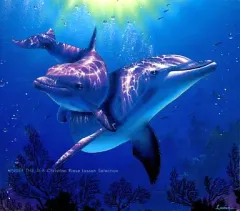 クリスチャンラッセン　サイズ大 Amazon | フィルム LASSEN パラダイス クリスチャン ラッセン 永遠の