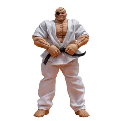 【中古】フィギュア 愚地独歩 「範馬刃牙」 アクションフィギュア