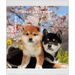 Item thumbnail for item e8c0595a-4551-47f1-a9bc-91f9354c6e72