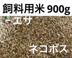 Item thumbnail for item e94d53dd-5f59-4728-8afc-a2bf2b895b69