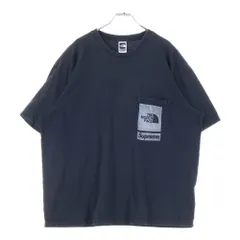 SUPREME (シュプリーム) 23SS ×THE NORTH FACE PC PRINTED S/S POCKET TEE ザノースフェイス 半袖Tシャツ カットソー ブラック NT023091