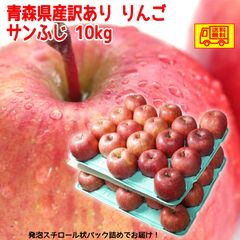 青森県産りんご　サンふじ　　訳あり　22-46玉　10kg　　送料無料！
