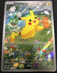 2025年最新】ピカチュウ プロモ 夏が来たの人気アイテム - メルカリ