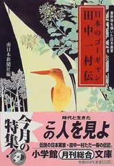 伝説の画家、日本のゴーギャン☆田村 一村 日本画 日本のゴーギャン