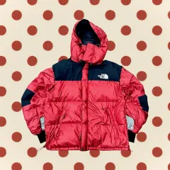 THE NORTH FACE ザノースフェイス サミット ダウン ダウン (L)