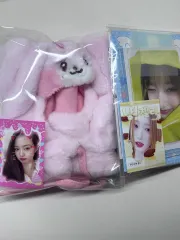 2025年最新】ive ペンライトカバー イソの人気アイテム - メルカリ