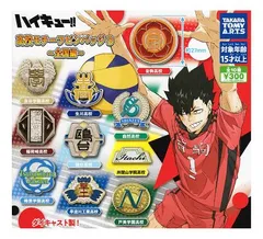 ハイキュー！ 高校モチーフピンバッジ3 全国編 全10種セット