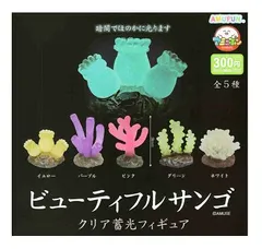 2026年最新】珊瑚まとめの人気アイテム - メルカリ