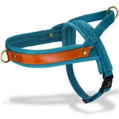 Item thumbnail for item 5ee07a23-7fe1-4624-bece-93be073c3eac