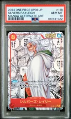 2025年最新】レイリー psaの人気アイテム - メルカリ