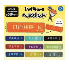 ハイキュー ヘアバンド 全10種セット